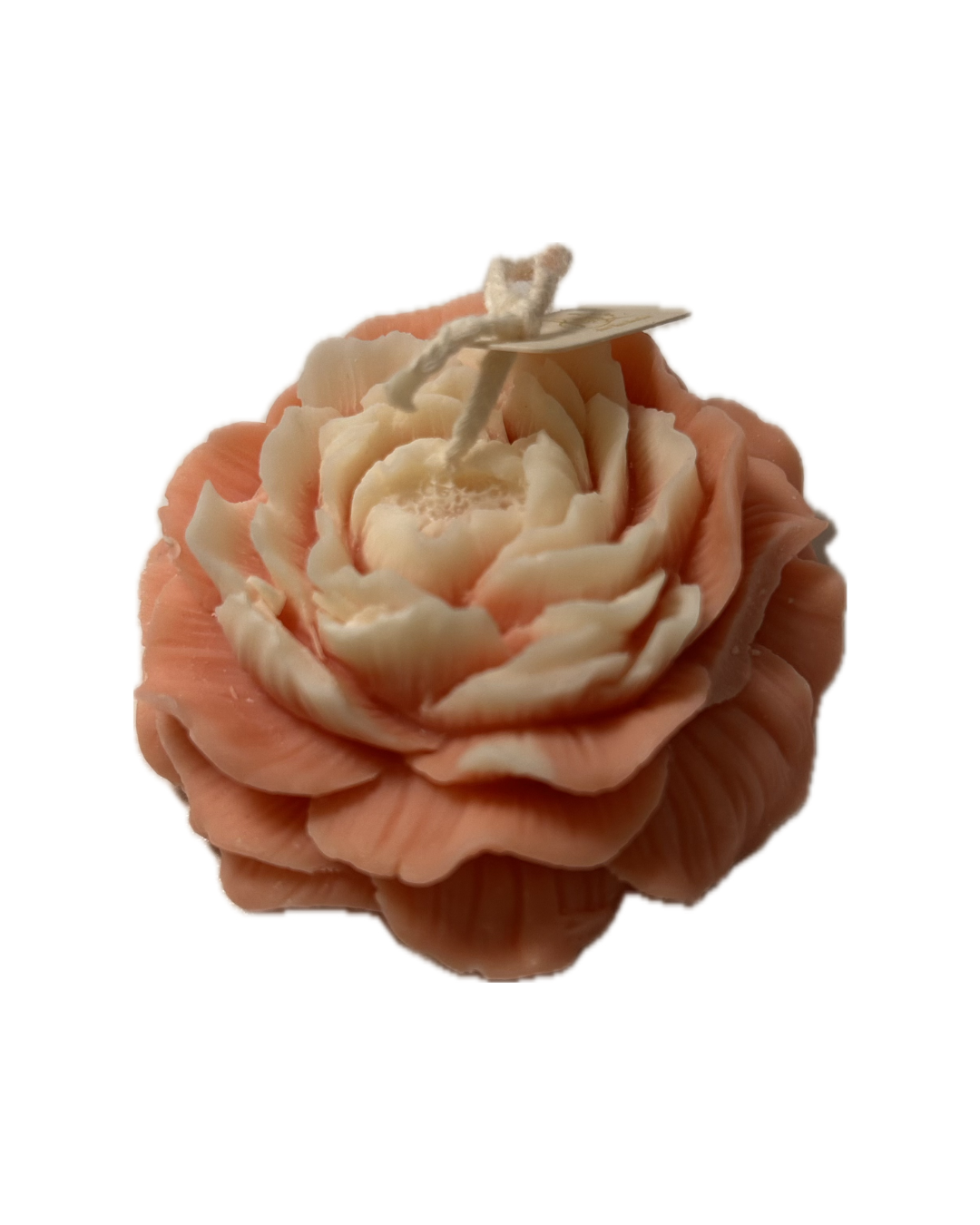 Rose Elegance  Classic Bloom Candle Mix and Match Exclusives