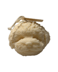 Curious Pup Puppy Portrait Candle